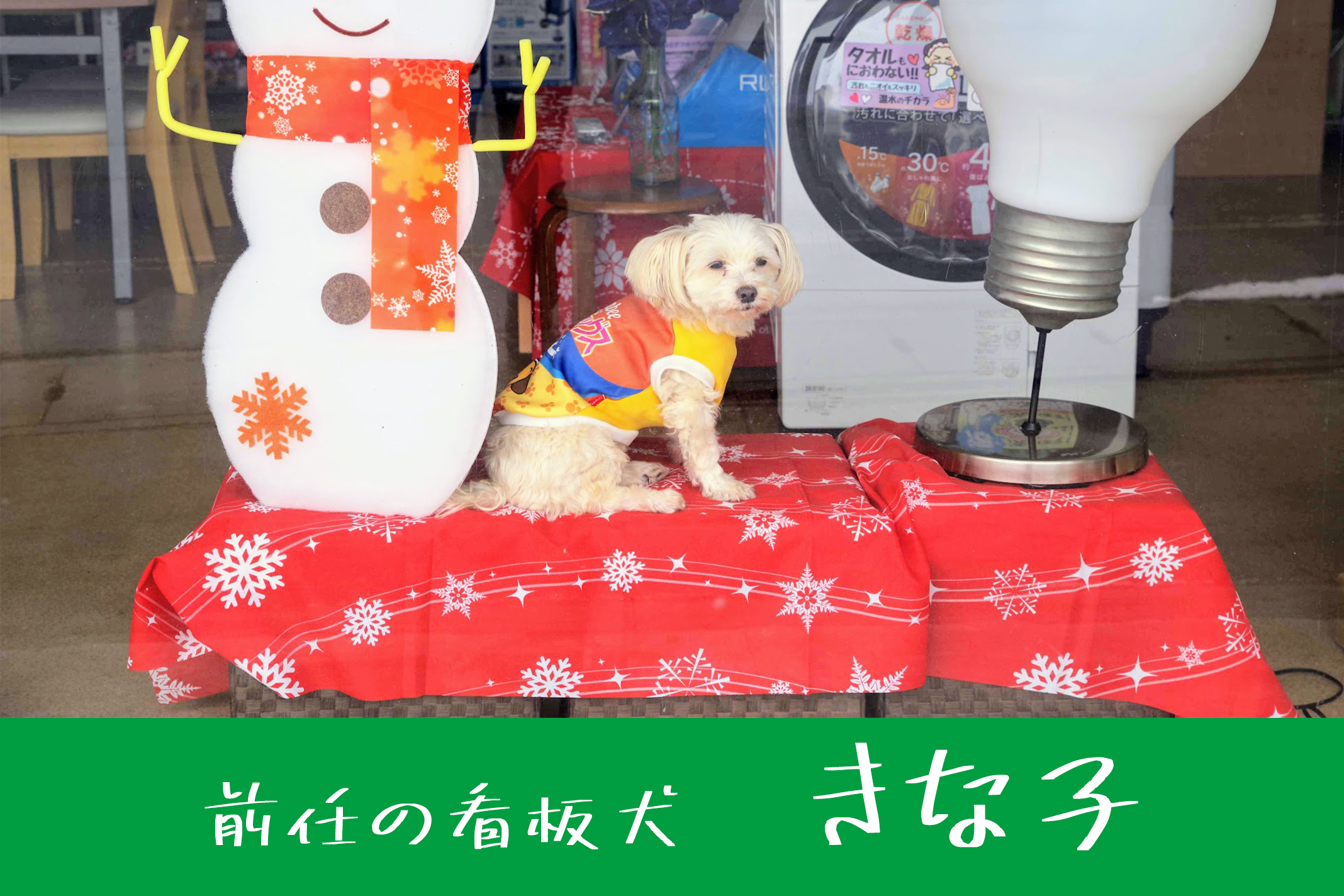 きなこ